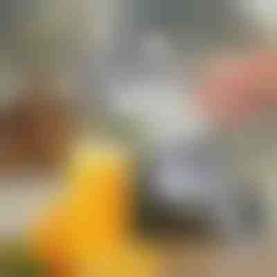 Spremiagrumi manuale | JUVOPRESS