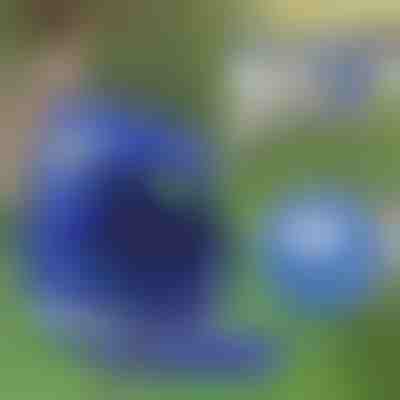 Pettorina e guinzaglio riflettenti regolabili | LEASHNGO