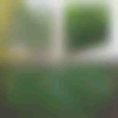 Pannello recinzione espandibile con edera - 30x180 cm, resistente ai raggi UV, senza attrezzi | GREENFENCE