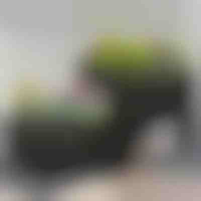 Cassetta per orto | BOTANITKO