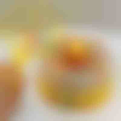 Gioco interattivo con anatre volanti | CATCHDUCK