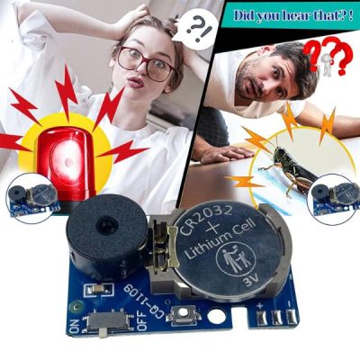 Lo scherzo del grillo che non troveranno mai | CRICKLY