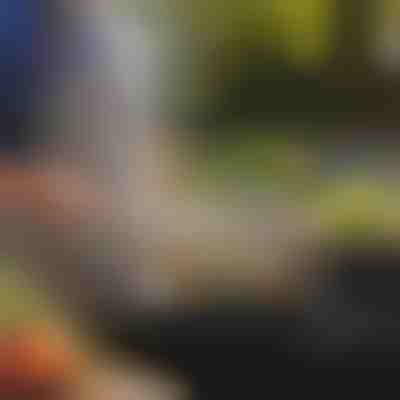 Cestello per barbecue per gli amanti della grigliata all'aperto | ROLOGRILL